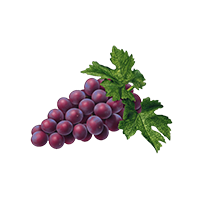 grapes