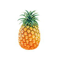 pineapple