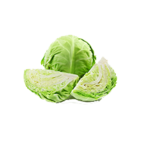 cabbage