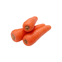 carrot